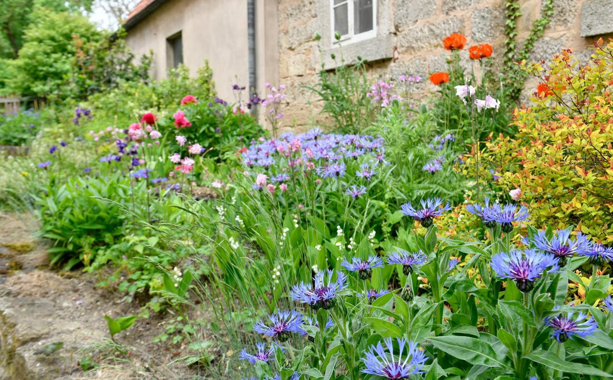 Landhotel Schwarzes Ross Steinsfeld Habitación foto